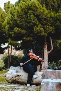A person sits on a large piece of driftwood in a park-like setting, playing the violin. They are surrounded by lush green trees and stone elements, creating a serene outdoor atmosphere.
