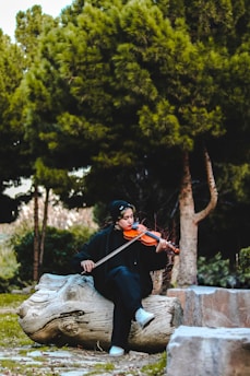 A person sits on a large piece of driftwood in a park-like setting, playing the violin. They are surrounded by lush green trees and stone elements, creating a serene outdoor atmosphere.