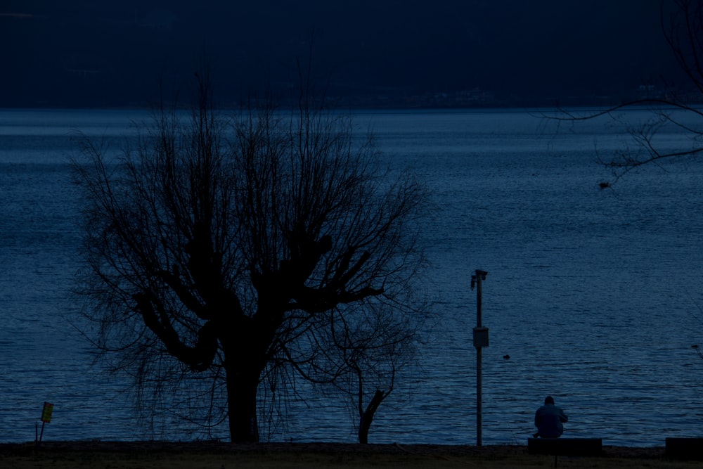 a person sitting on a bench next to a body of water