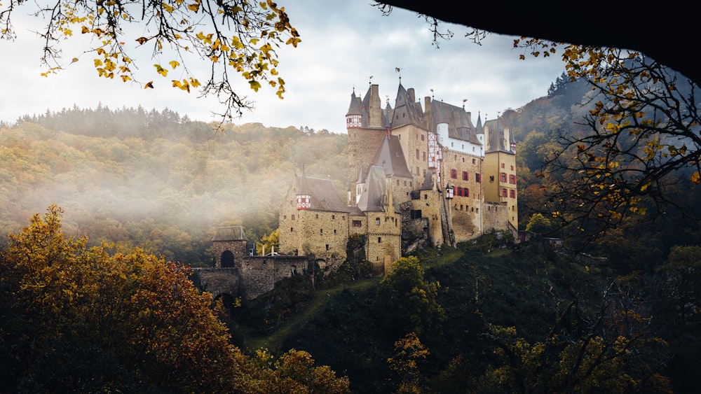 a castle on top of a hill surrounded by trees