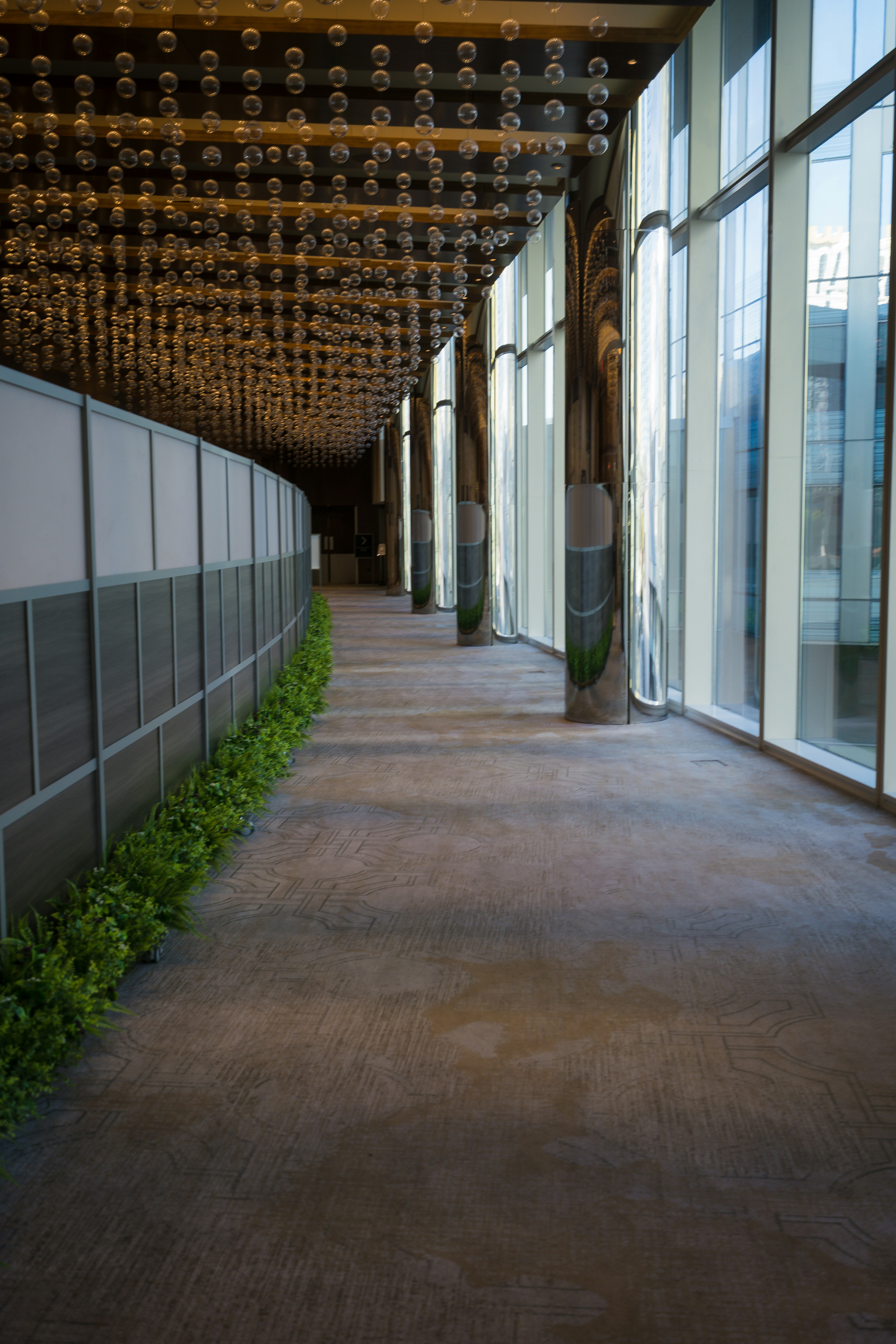 窓や植物がたくさんある長い廊下