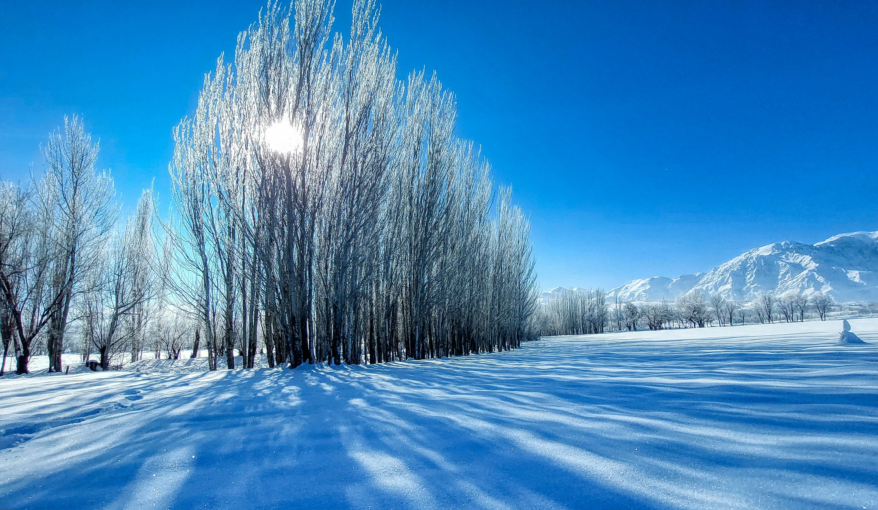 Photo by aliarjmandi