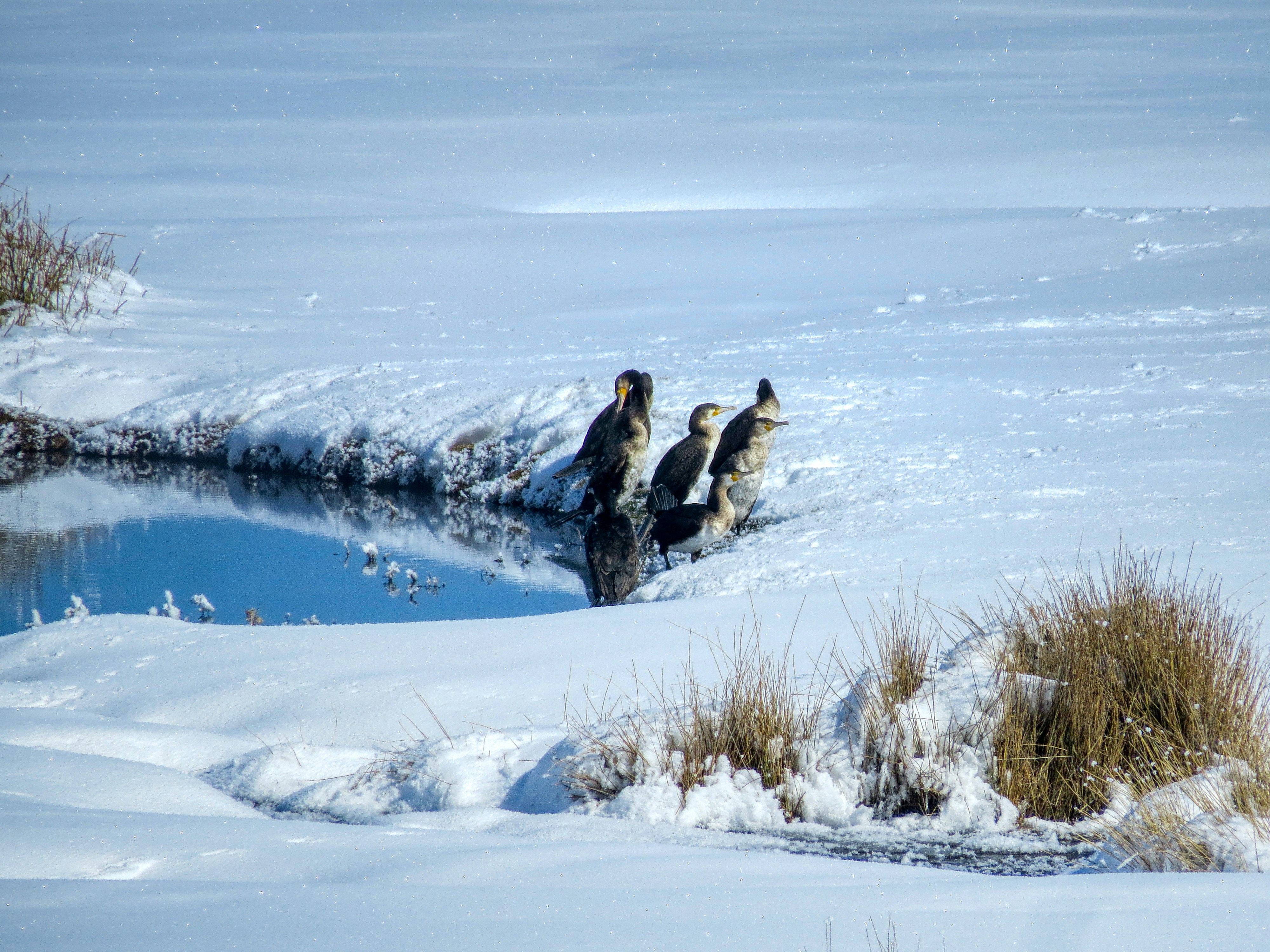 Photo by aliarjmandi