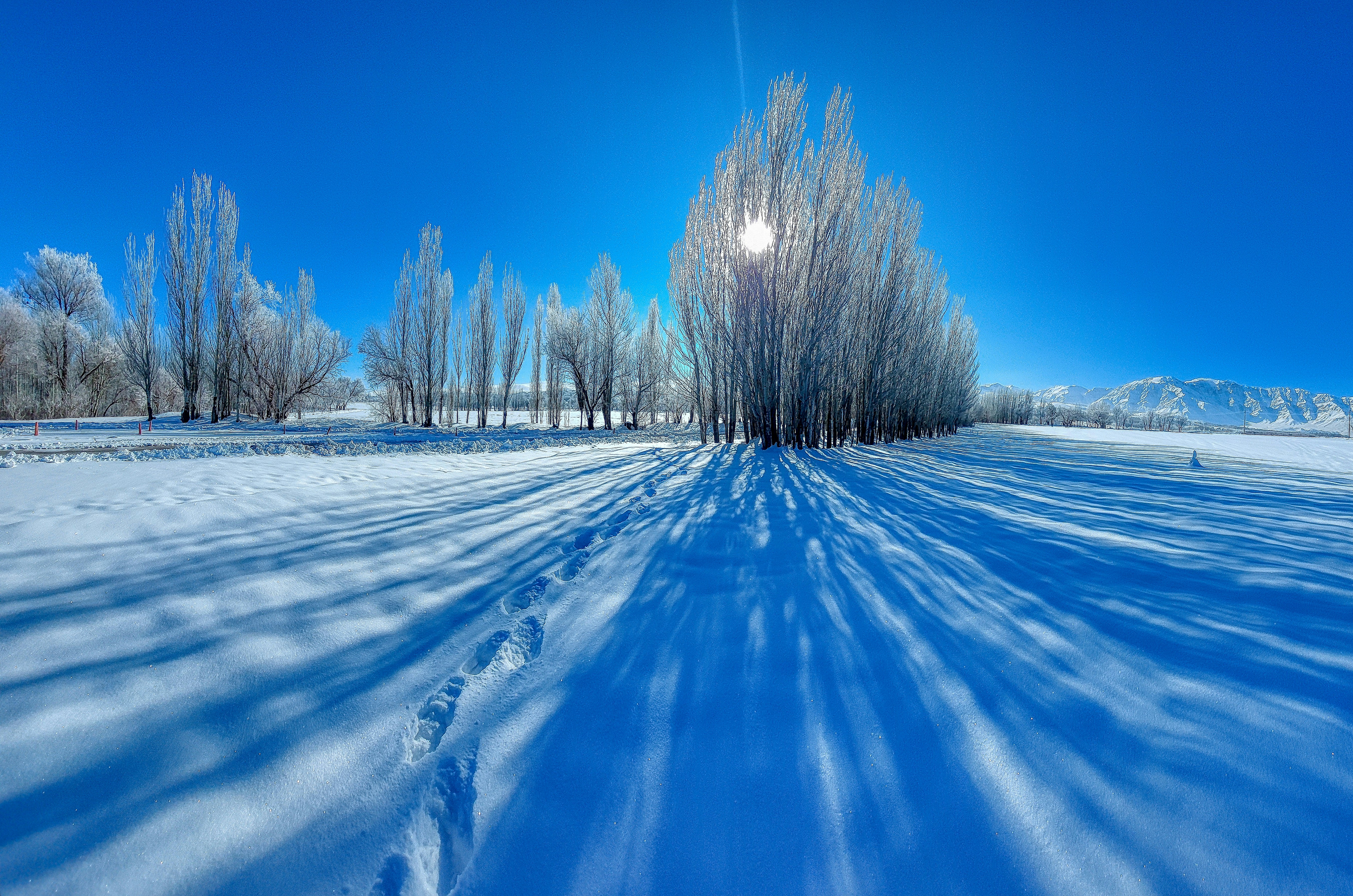 Photo by aliarjmandi