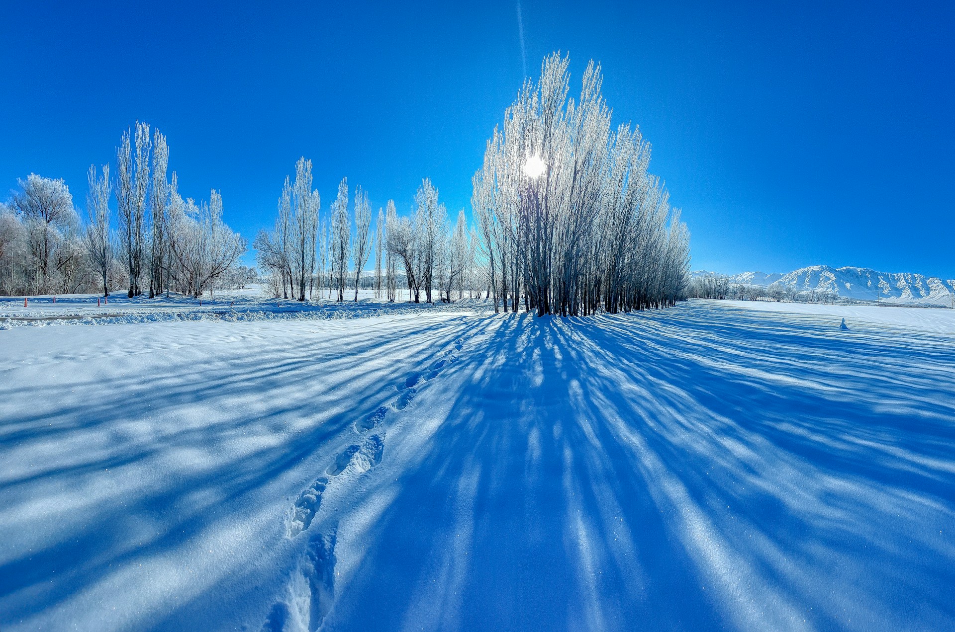 a snow covered field with trees in the background