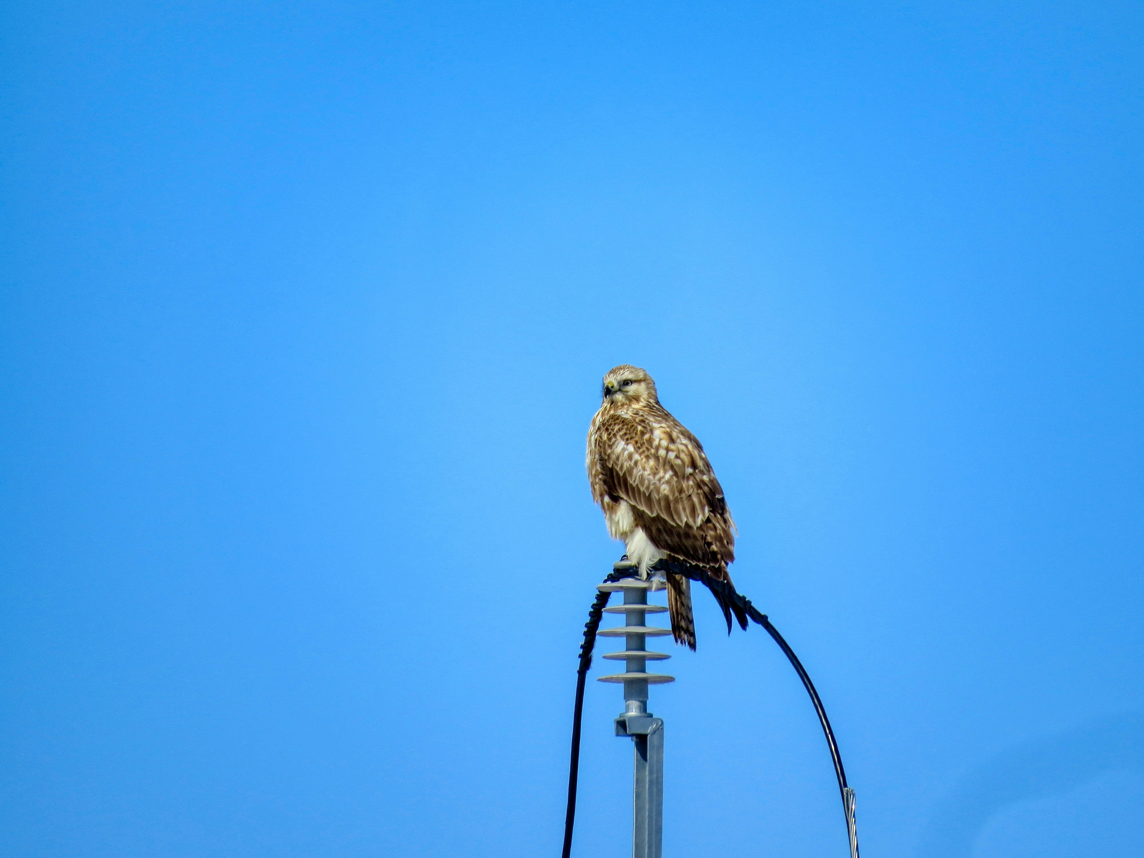 Photo by aliarjmandi