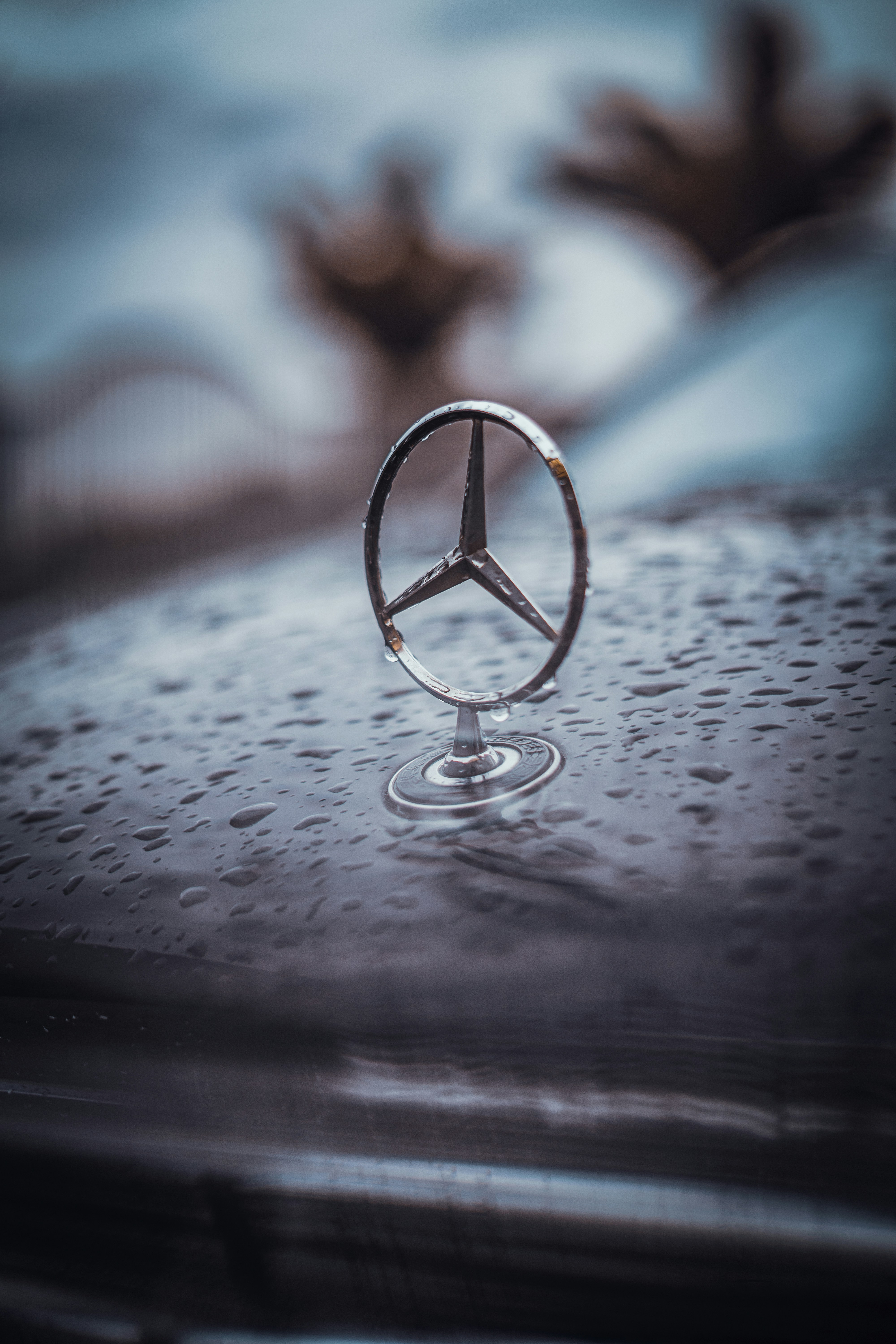 Photo by gullin_omer