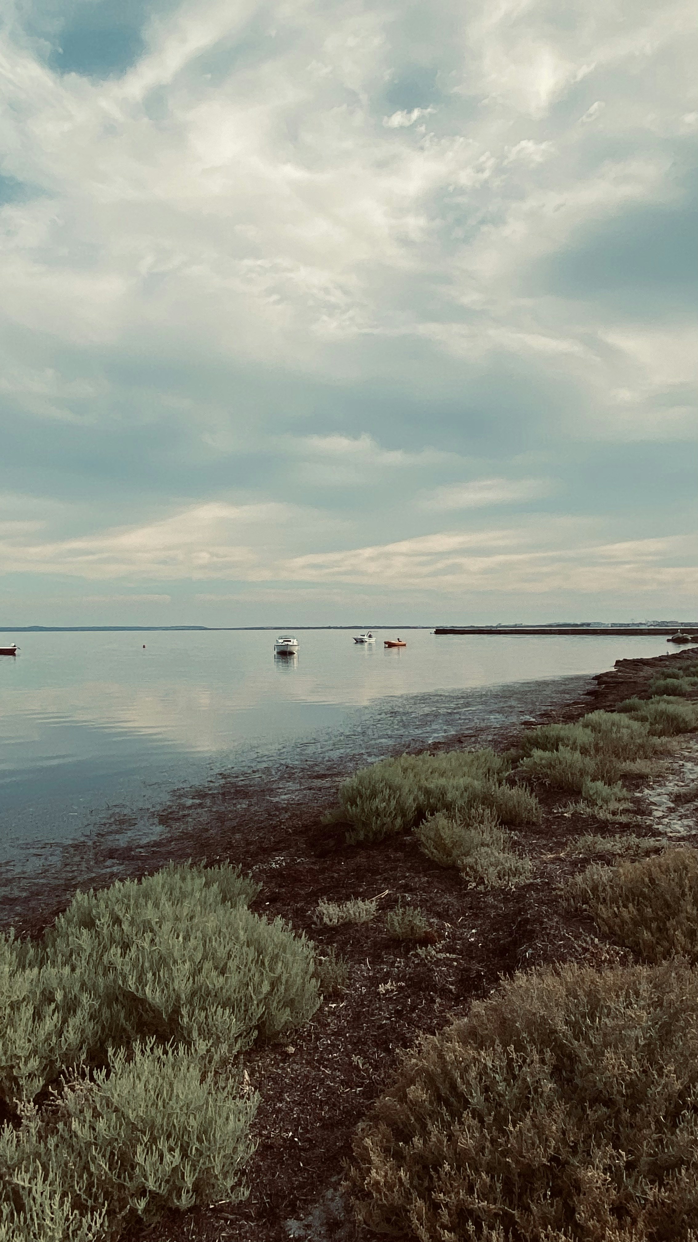 Photo by hanaeprr