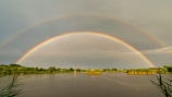 A serene landscape featuring a calm body of water surrounded by lush greenery and a prominent double rainbow arching across the sky. The horizon is dotted with trees and reeds, adding to the natural ambiance.