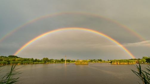 A serene landscape featuring a calm body of water surrounded by lush greenery and a prominent double rainbow arching across the sky. The horizon is dotted with trees and reeds, adding to the natural ambiance.