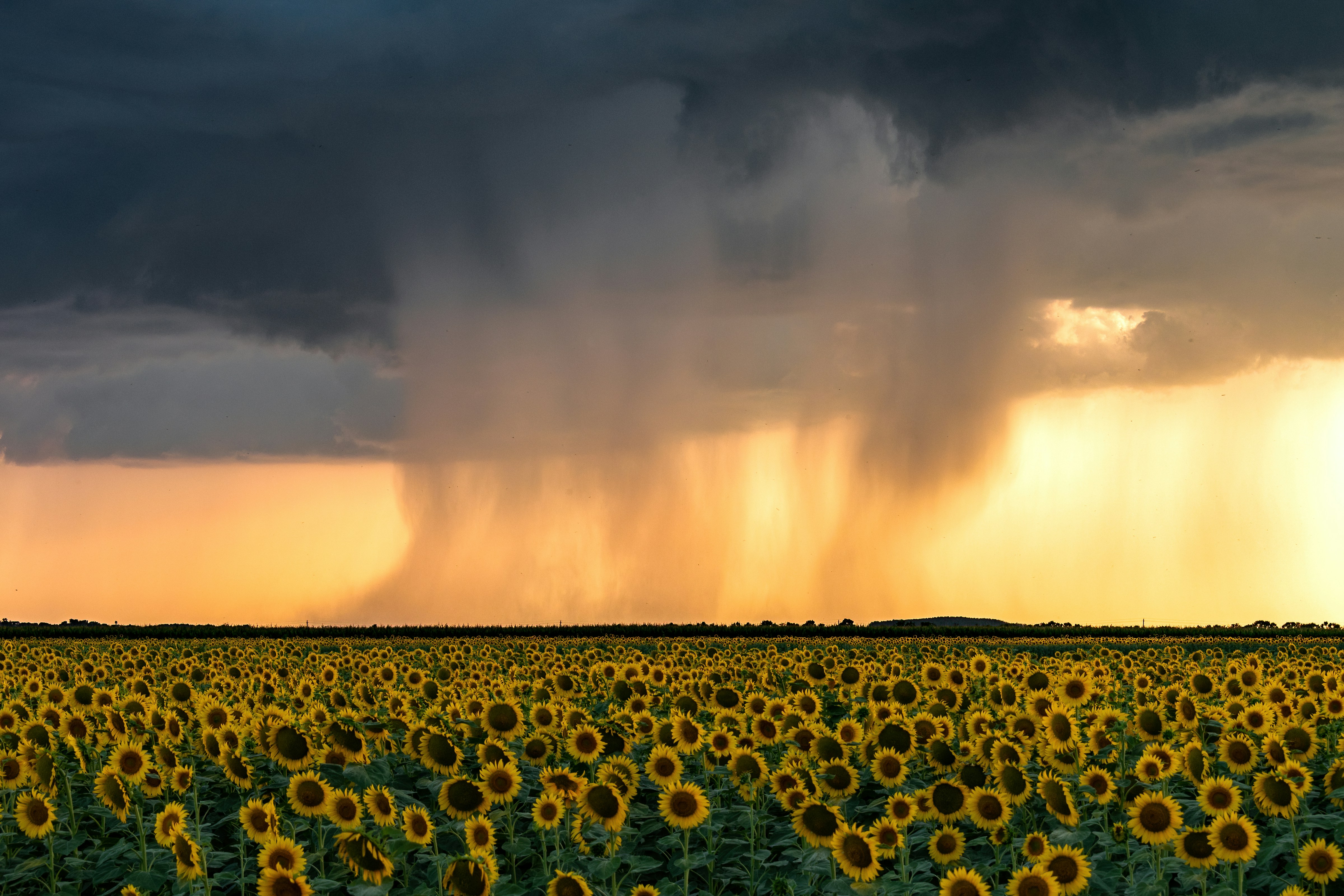 Eco-Anxiety: Understanding and Coping with Climate Change's Mental Toll