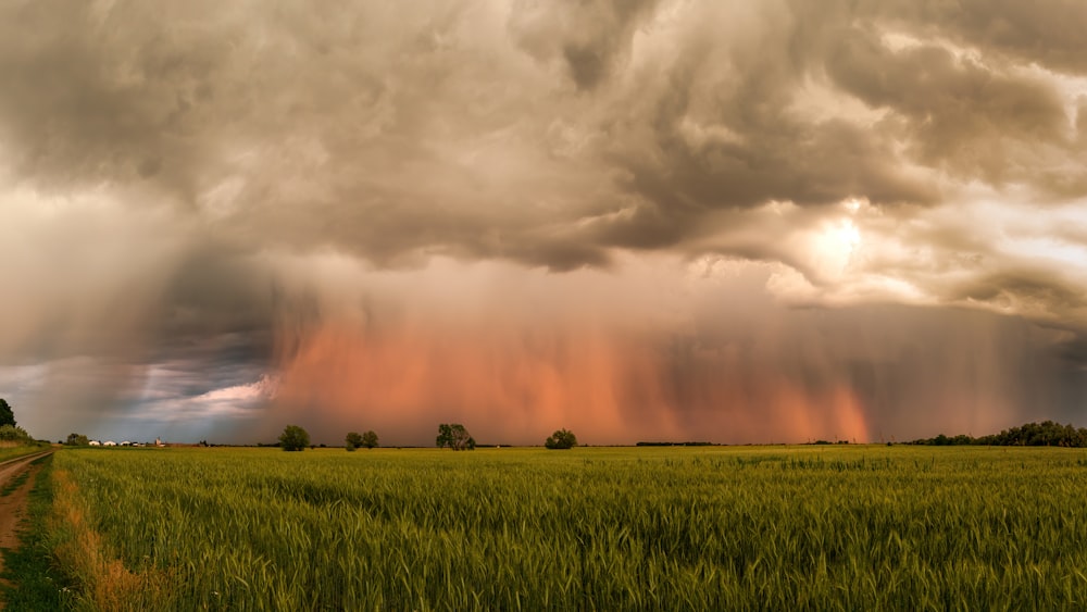 a field with a dirt road in the foreground and storm clouds in the background