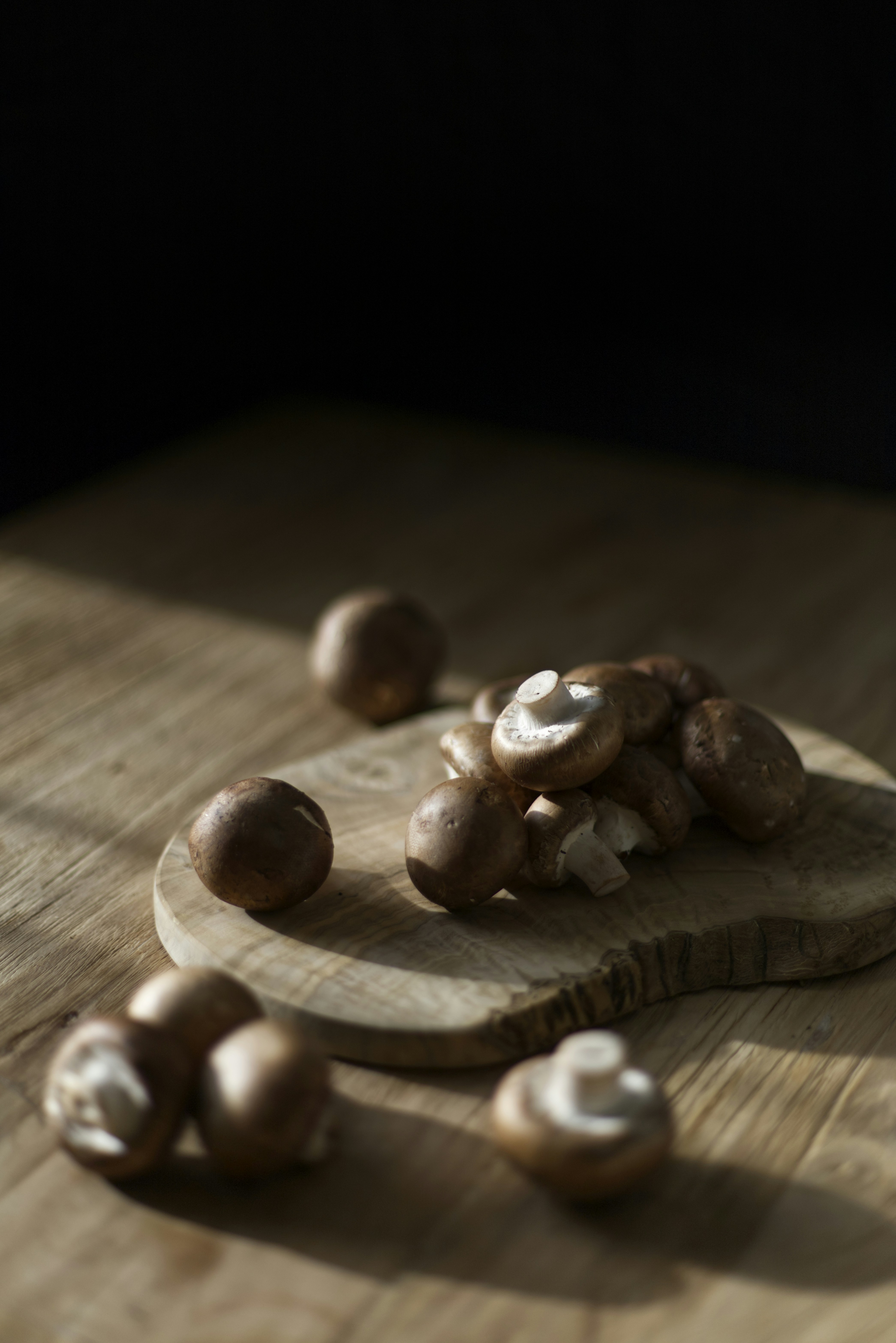 Photo by melinamatting