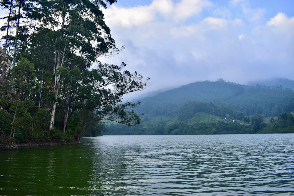 a body of water surrounded by trees and mountains