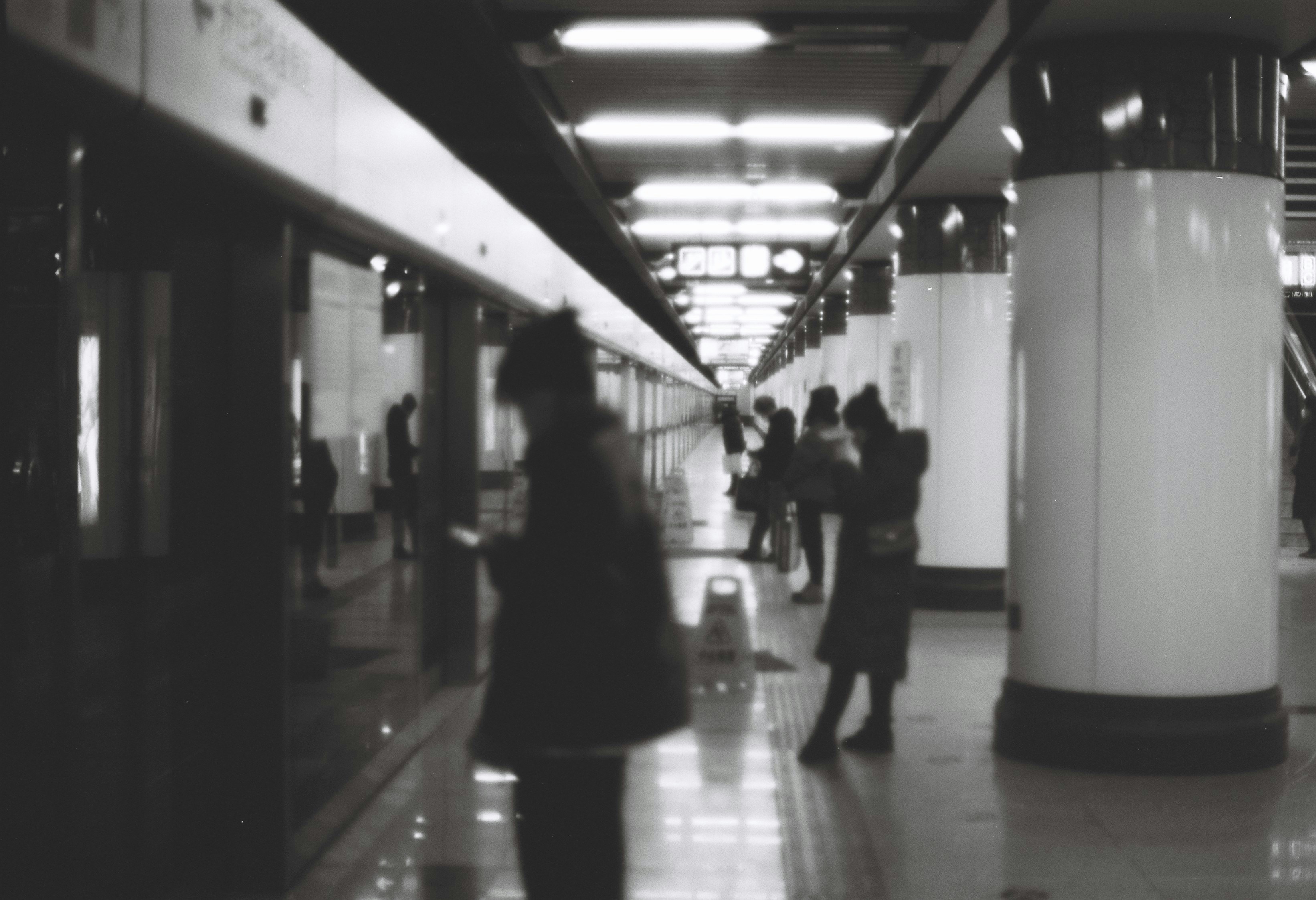 Photo by hausyang271