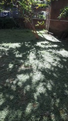 A tranquil backyard patio shielded from mosquitoes, framed by healthy, green foliage.