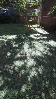 A tranquil backyard patio shielded from mosquitoes, framed by healthy, green foliage.