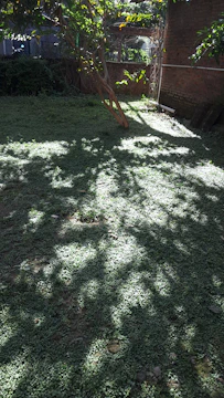 Modern privacy fence casting soft shadows over a lush backyard garden.