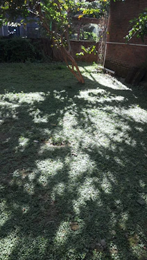 A serene backyard featuring lush greenery, colorful flower beds, and a neatly trimmed lawn under soft sunlight.