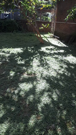 A serene backyard featuring a modern dark gray fence with lush landscaping around.