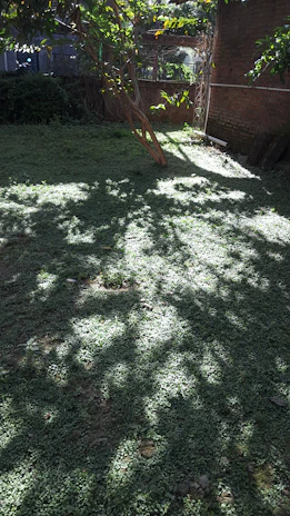 A serene Texas backyard featuring a handcrafted stone patio surrounded by lush greenery under warm sunlight.