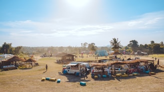 a group of vehicles parked in a field