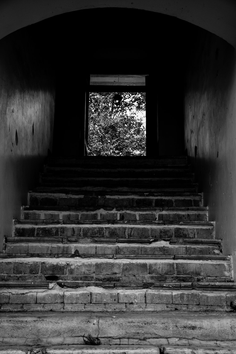 a black and white photo of a set of stairs