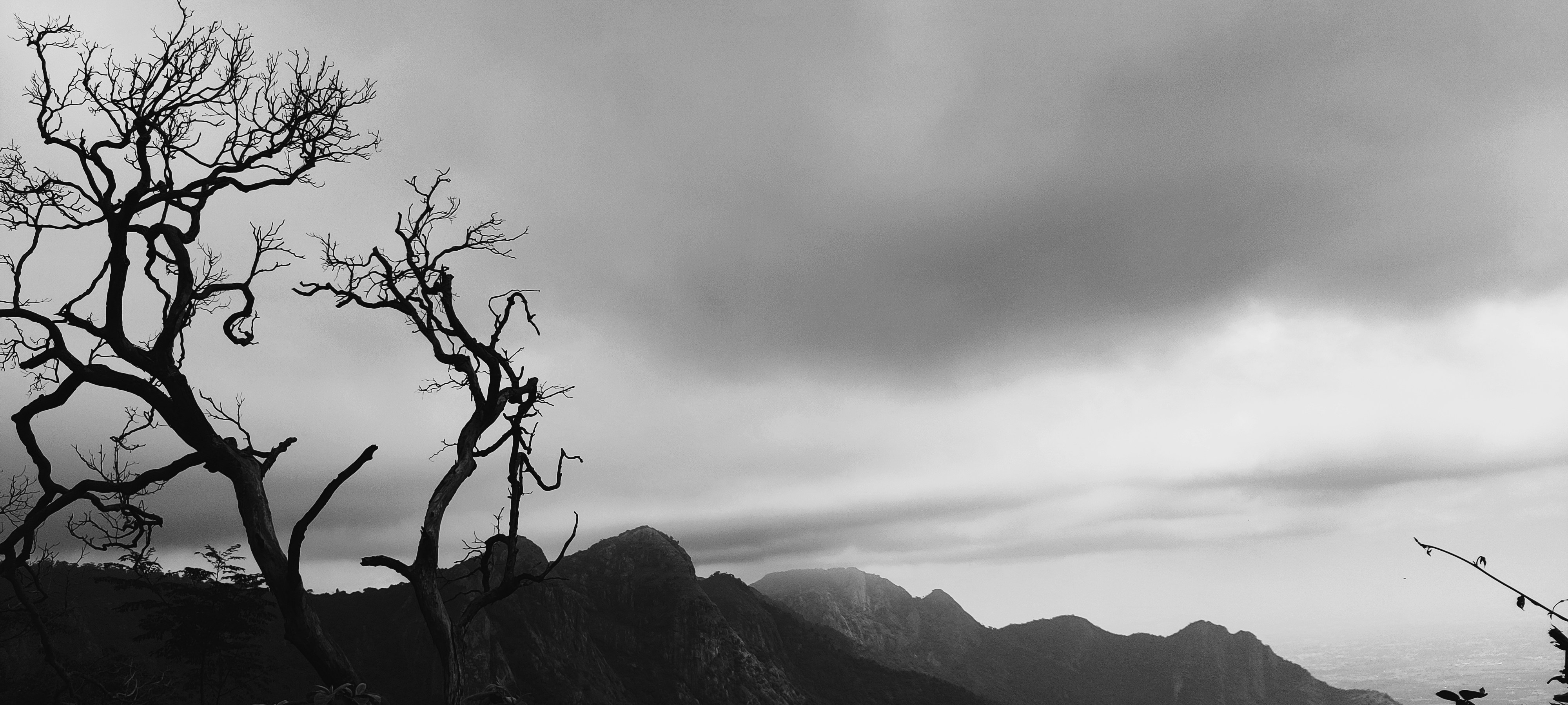 Photo by friendlyhood_aakash