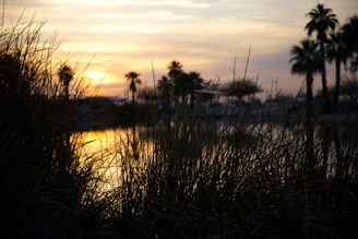 A peaceful sunset over Dos Palos, California, symbolizing hope and connection.