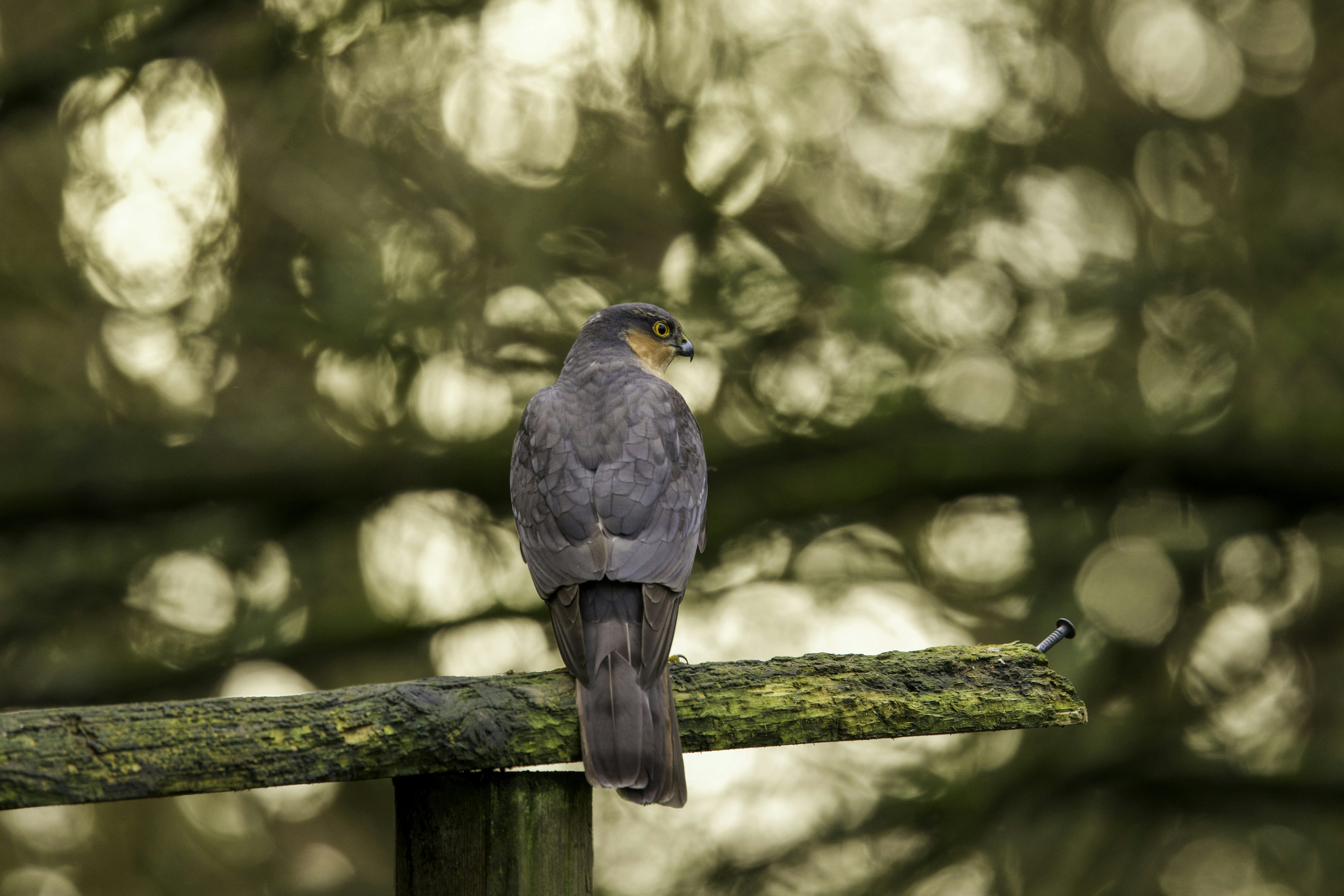 Photo by heather_wilde