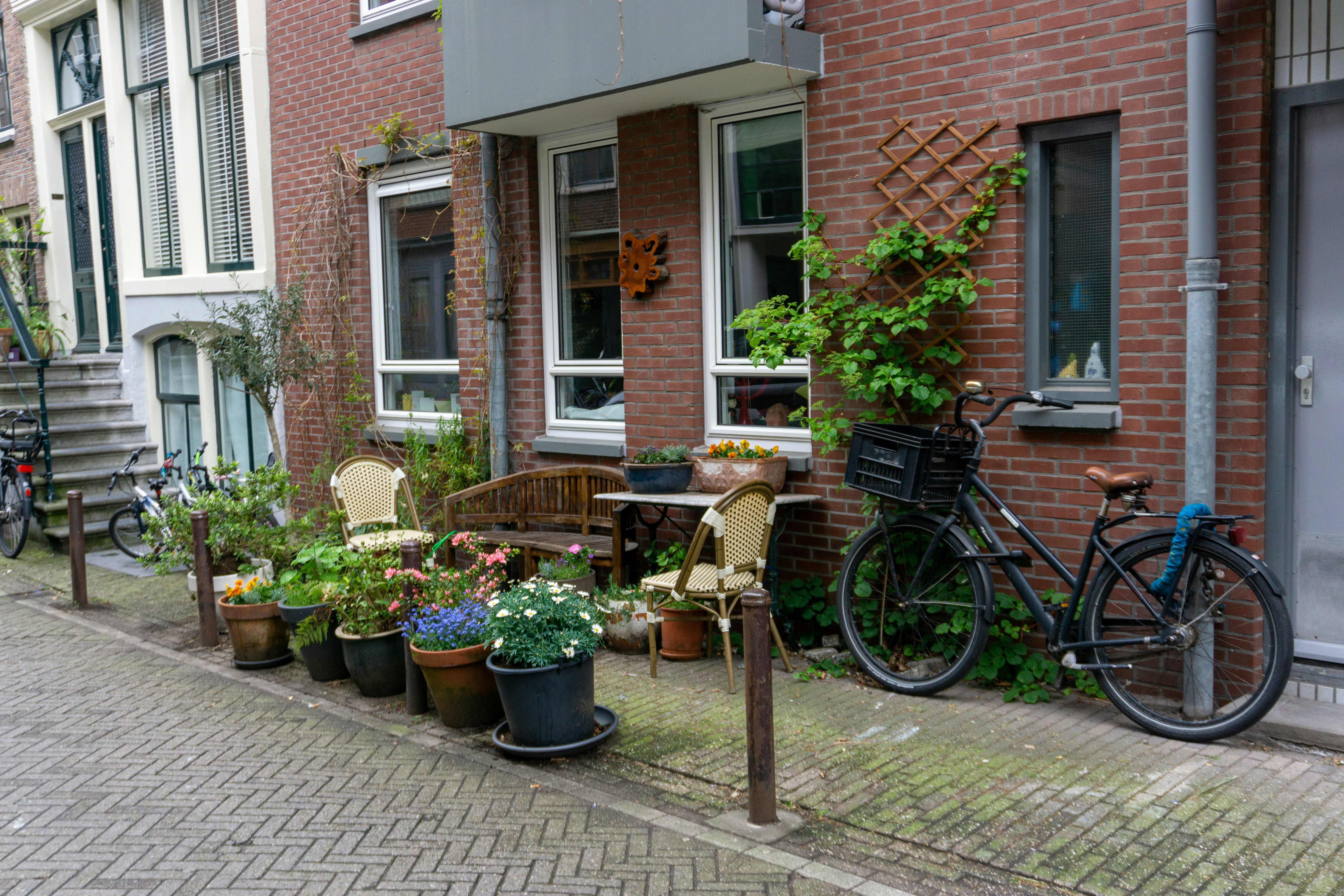 Afbeelding van Nederland