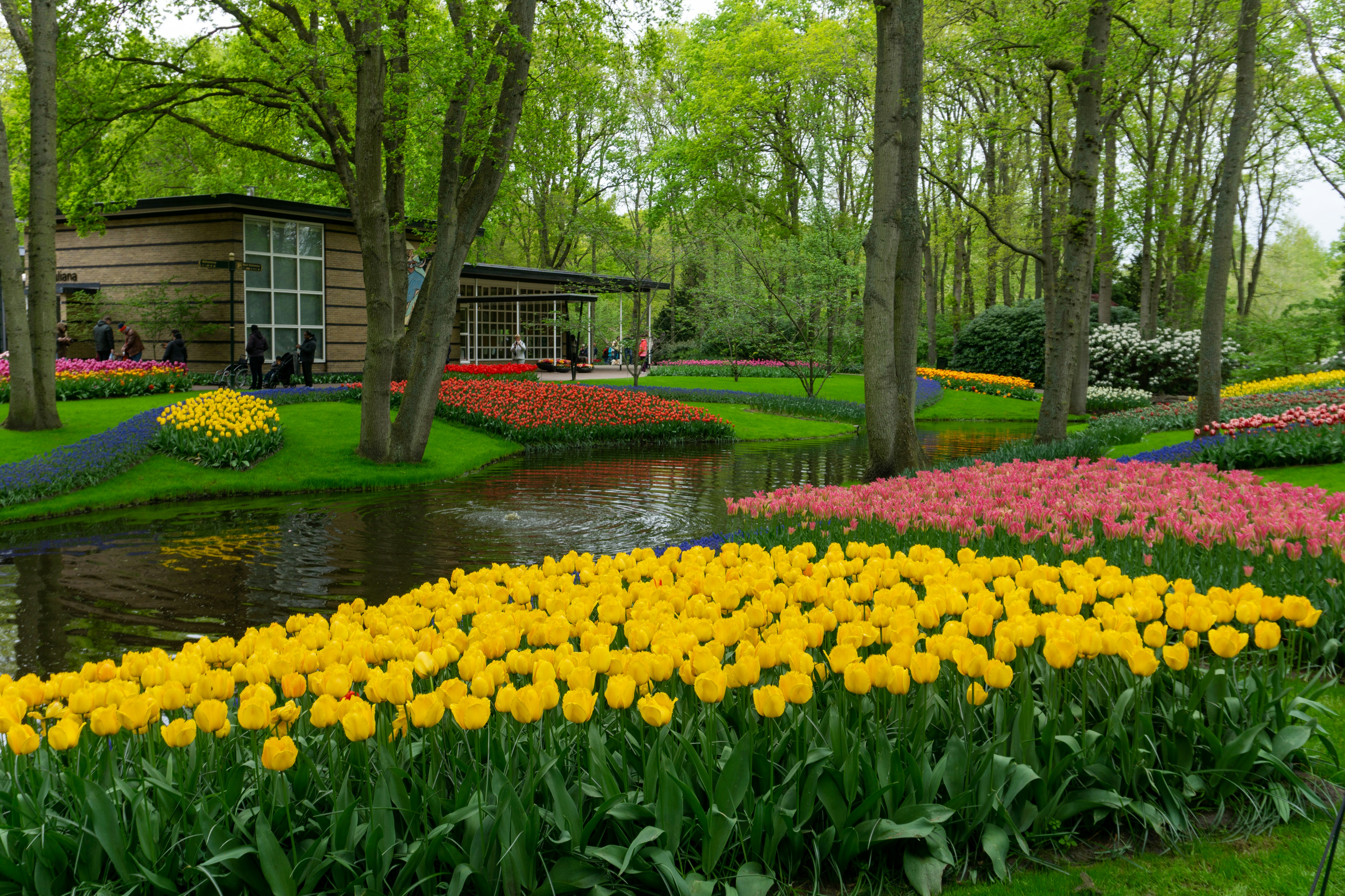 a garden filled with lots of yellow and pink flowers