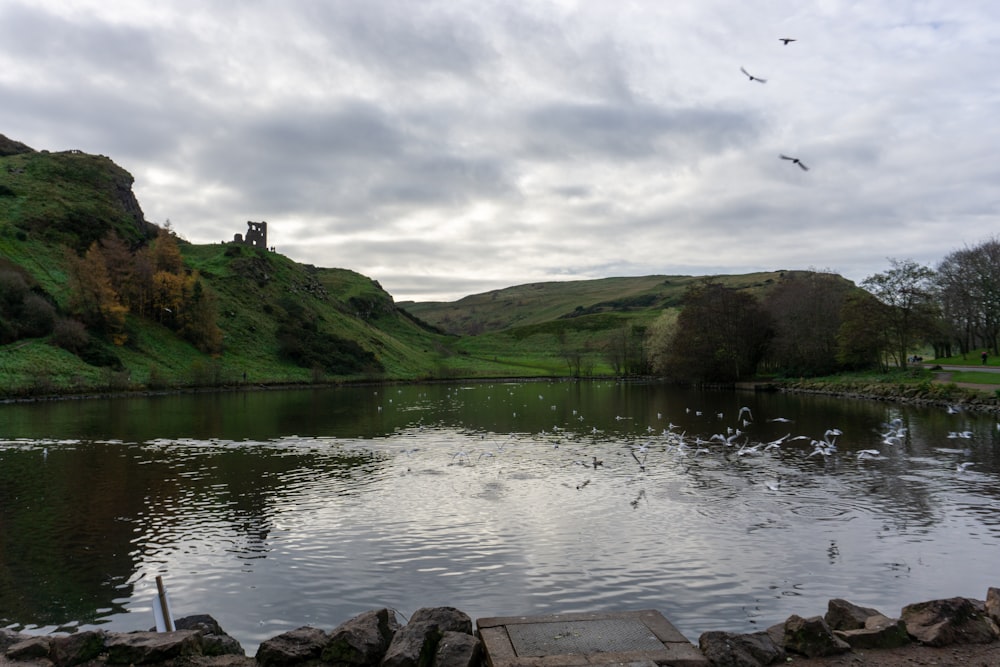 a lake surrounded by a lush green hillside