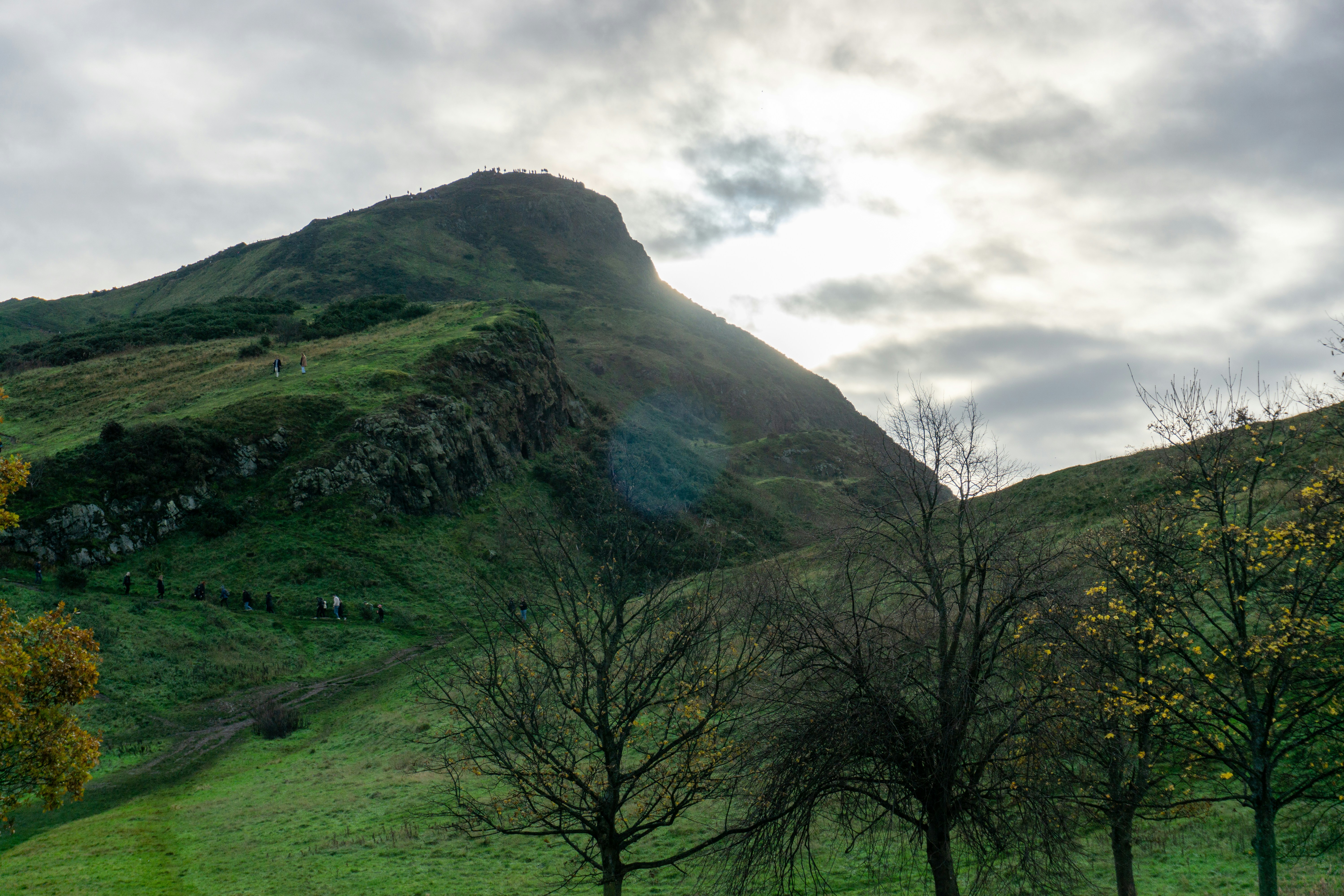 a grassy hillside with trees and a mountain in the background