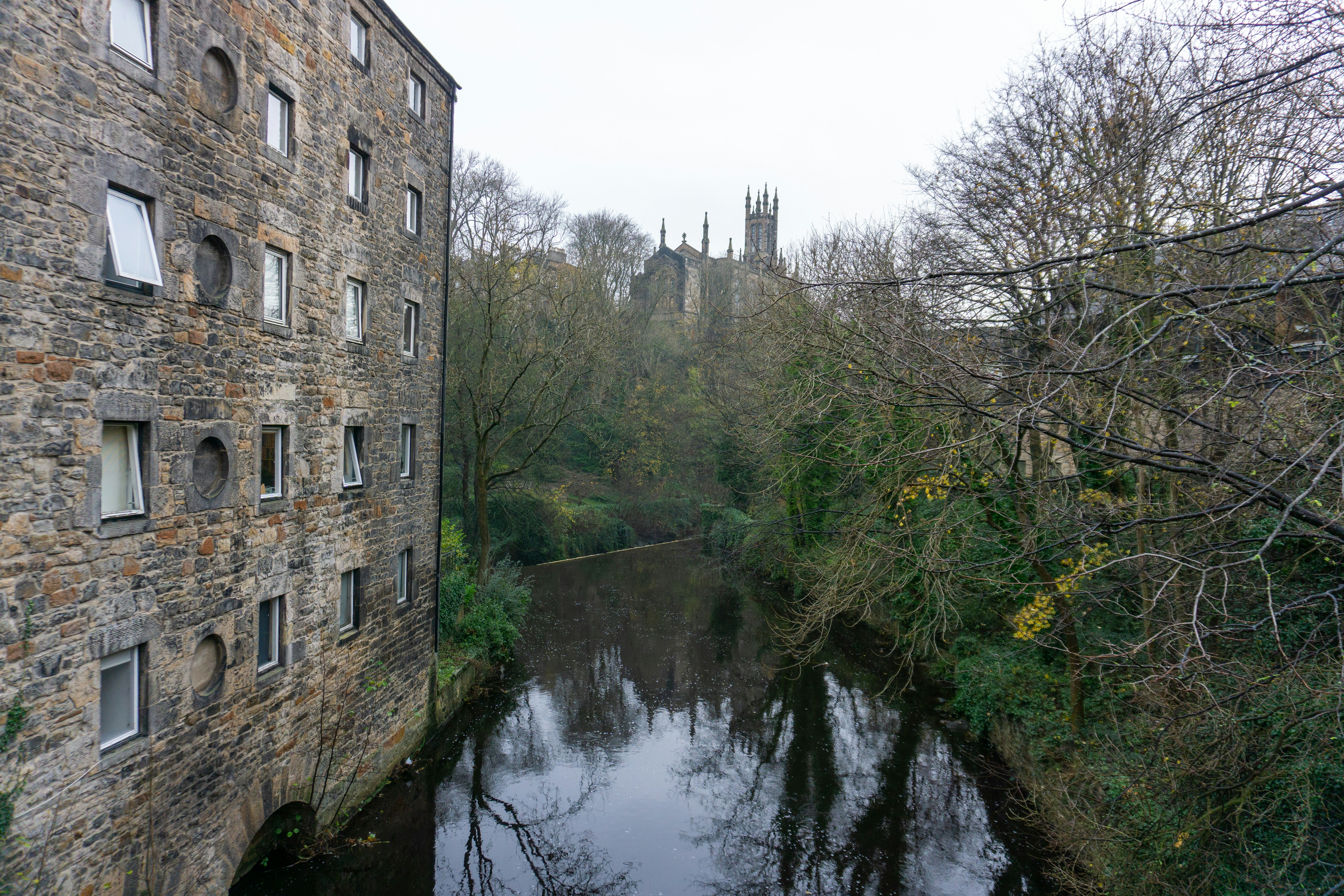 a river running through a lush green forest
