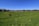 A serene landscape featuring horses grazing in a lush green field.