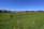 A peaceful view of horses grazing on green pastures with a rustic stable in the background.