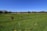 A serene landscape of a horse stable surrounded by green pastures.