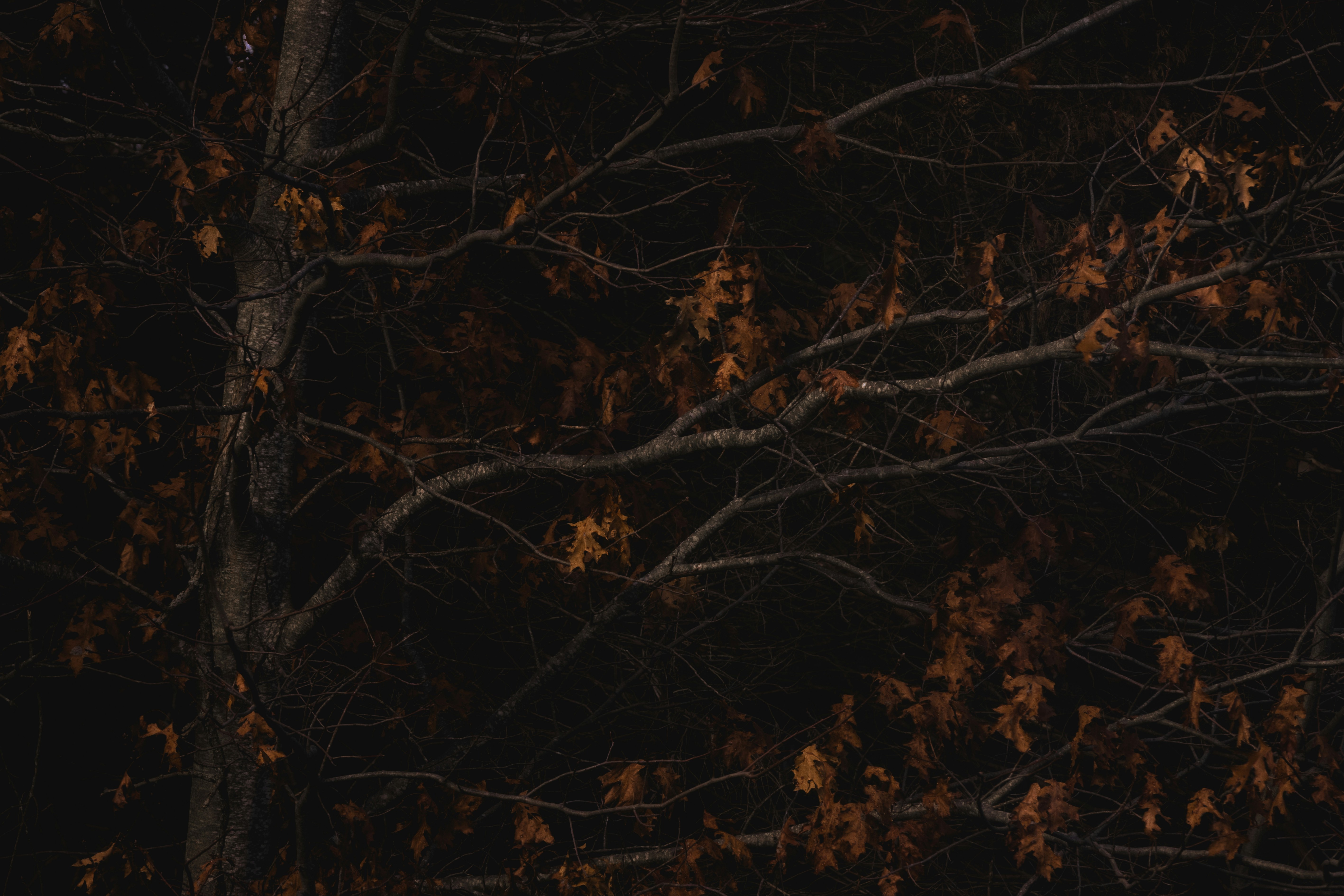 Photo by parkerdesignsss