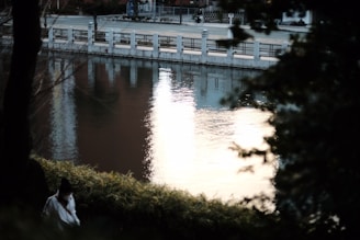 A tranquil scene with a body of water reflecting light from the sky, bordered by a row of white concrete barriers. In the foreground, a person wearing a white jacket appears partially obscured by foliage, suggesting a quiet, contemplative moment.