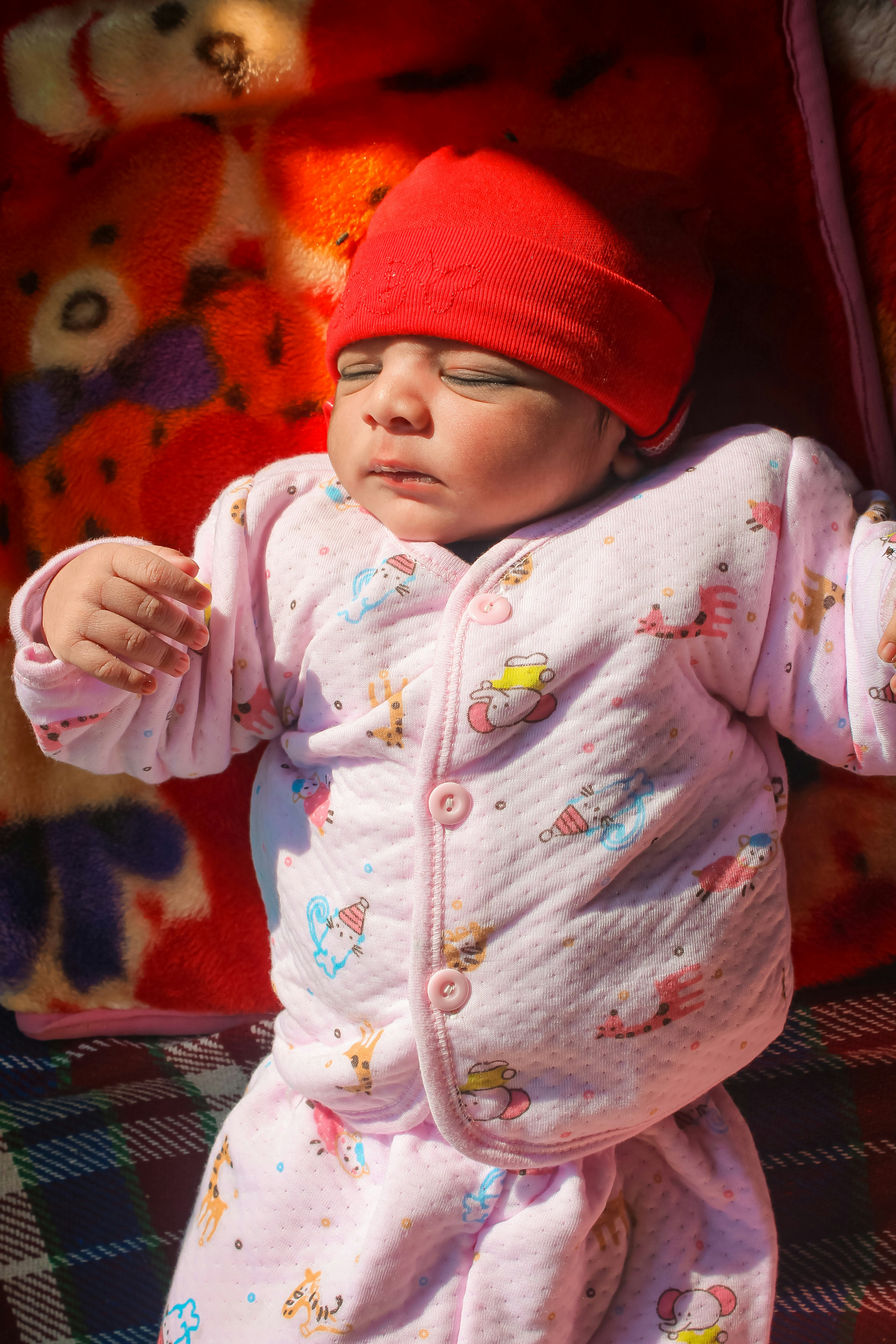 Photo by muhammad_shakir