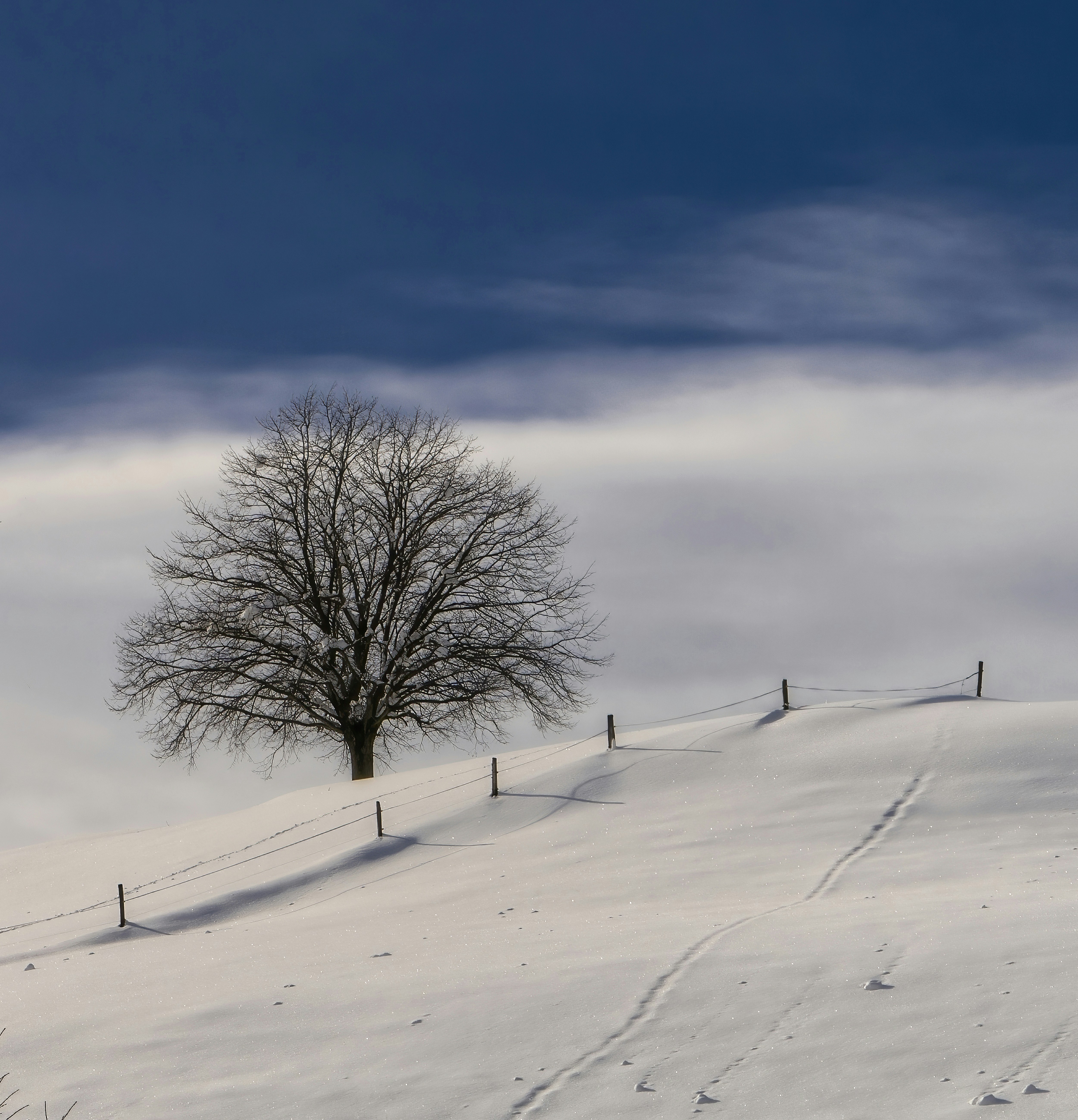 Photo by rgaleriacom