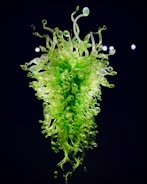 Elaborate sculpture composed of twisted and curled green glass, featuring an intricate design reminiscent of organic, plant-like forms against a dark background. Light glistens off the translucent surface, creating a vibrant display of curves and tendrils.