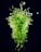 Elaborate sculpture composed of twisted and curled green glass, featuring an intricate design reminiscent of organic, plant-like forms against a dark background. Light glistens off the translucent surface, creating a vibrant display of curves and tendrils.