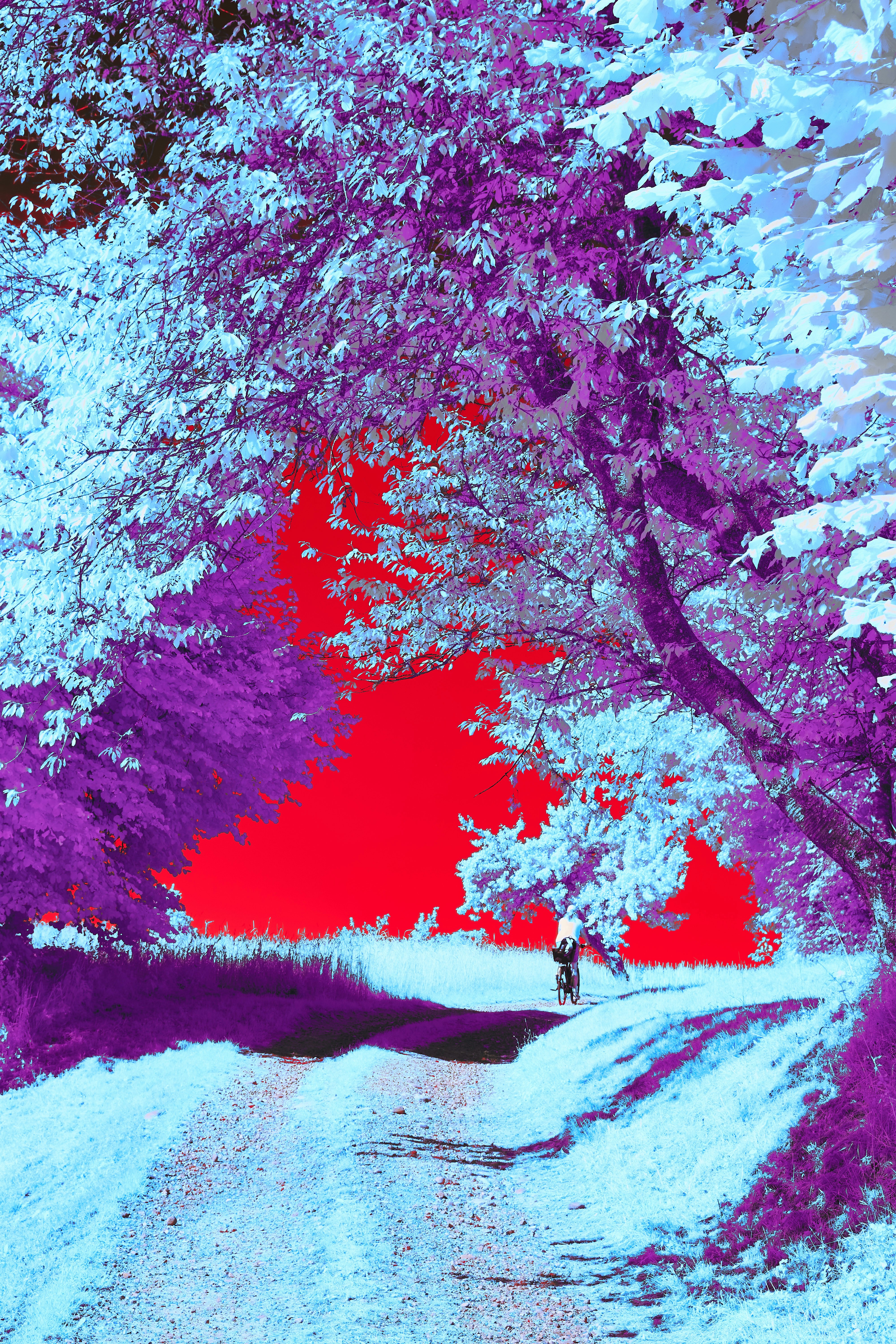 Photo by wolfgang_hasselmann