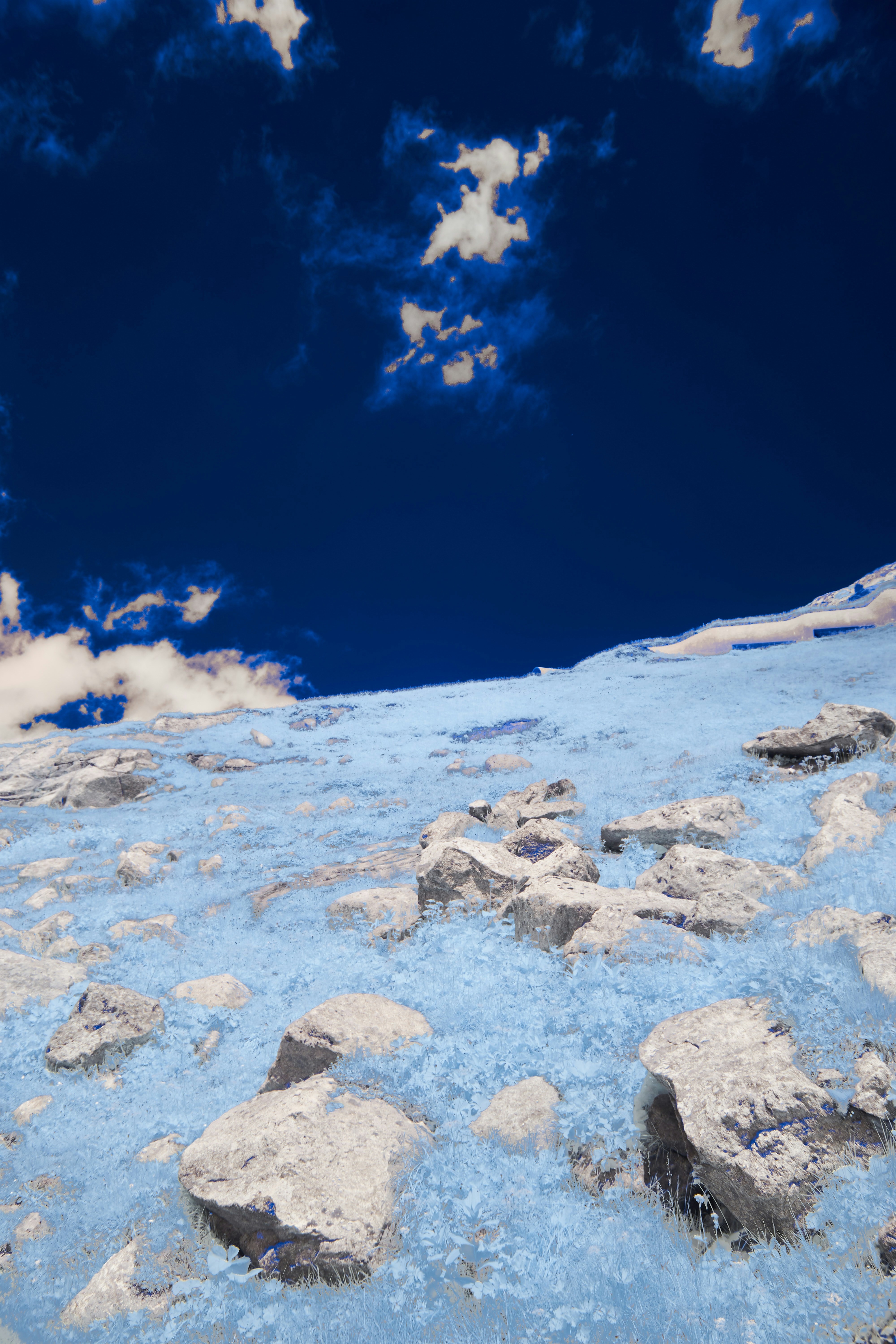 Photo by wolfgang_hasselmann