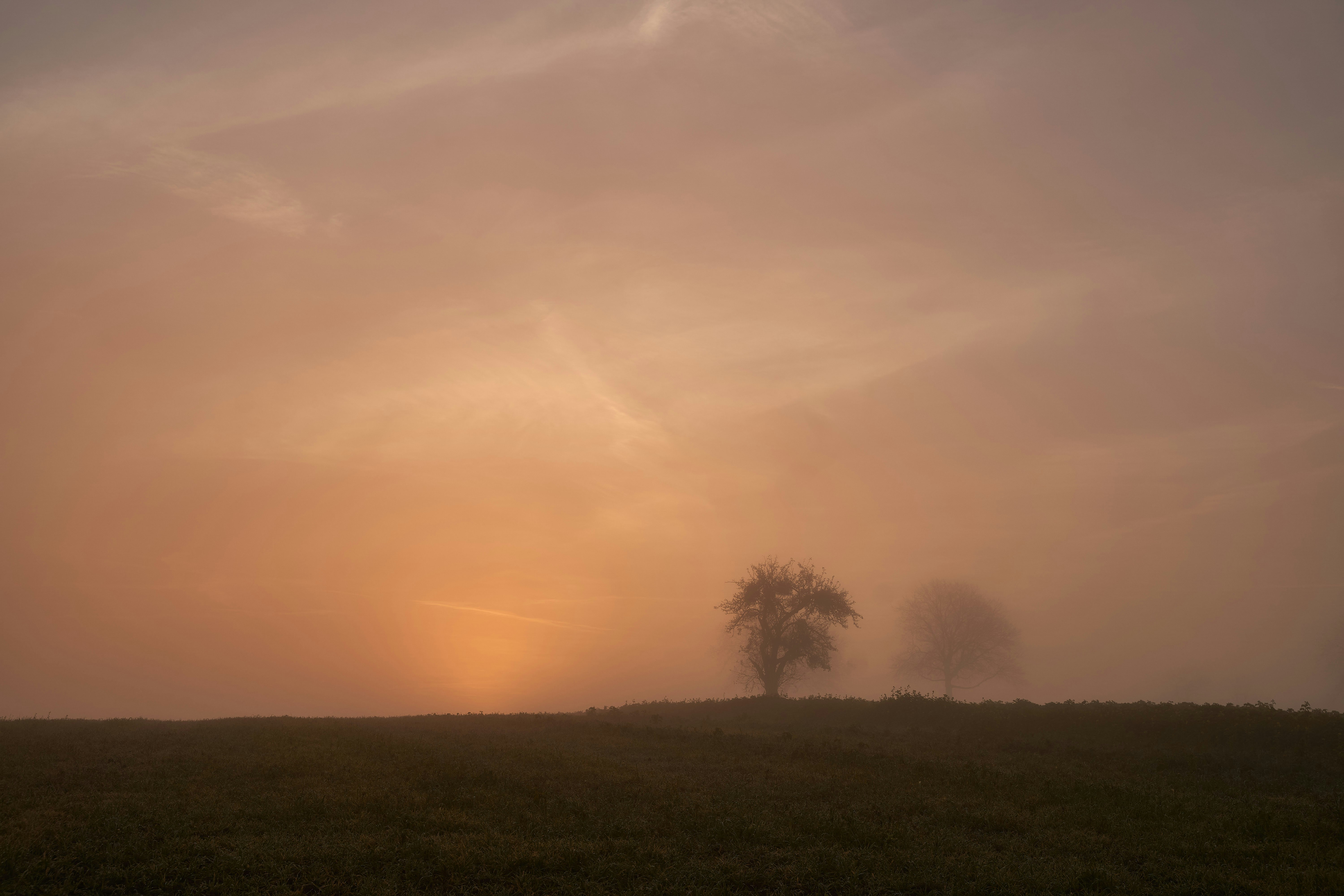 Photo by wolfgang_hasselmann