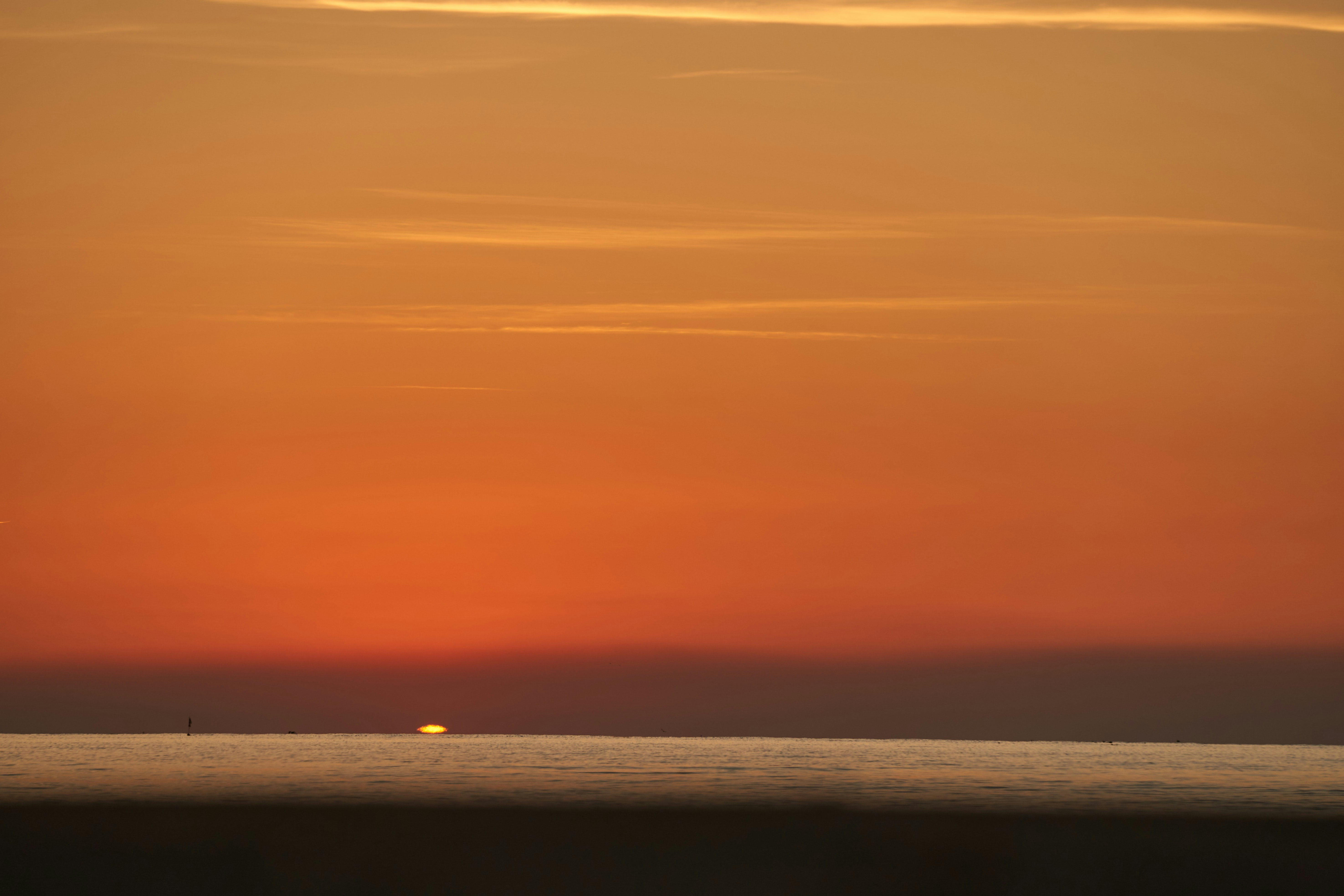 Photo by wolfgang_hasselmann