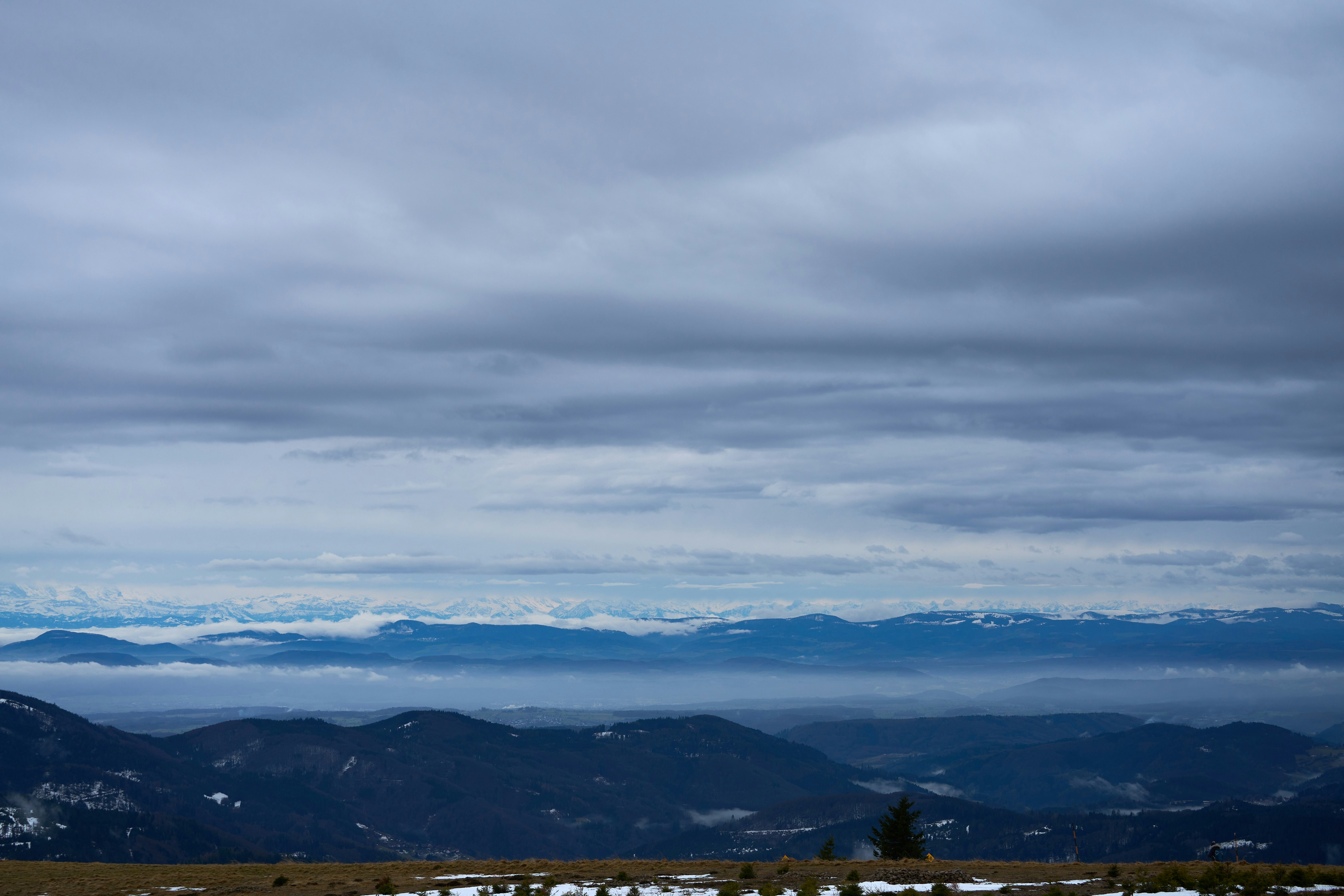 Photo by wolfgang_hasselmann