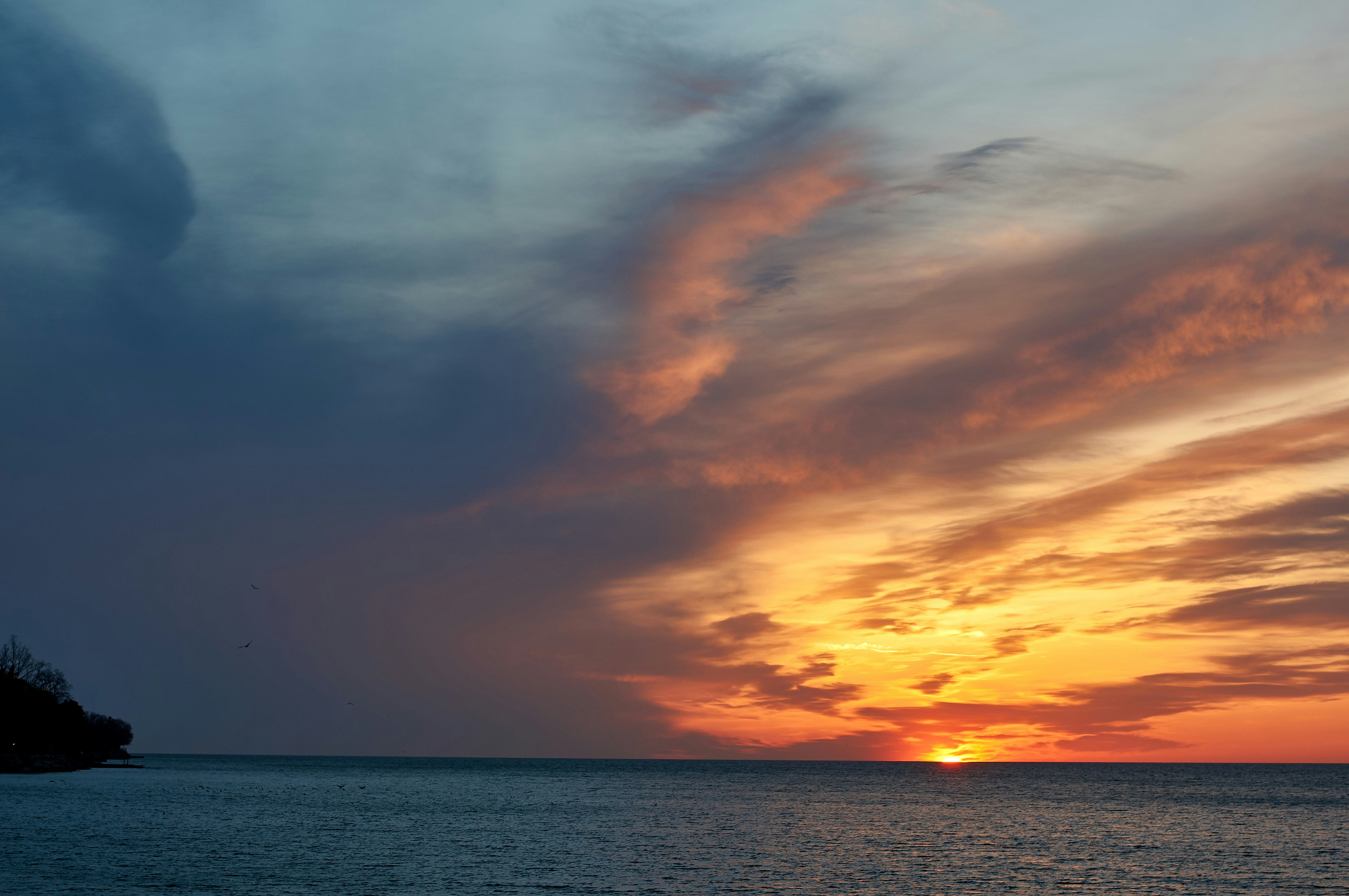 Photo by wolfgang_hasselmann